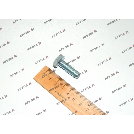 Болт М10х30