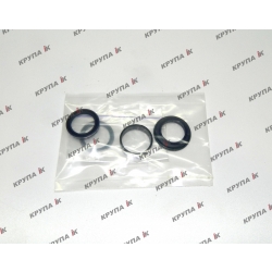 Комплект ущільнень гідроциліндру підняття  на 2 штуцера 4510066  лівий 1030 