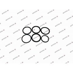 Комплект кілець на гідромотор 2388 (239-5018, 631458C1, 238-6018)