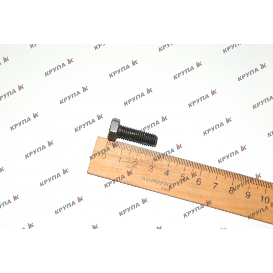 Болт фіксатора розподільчого валу