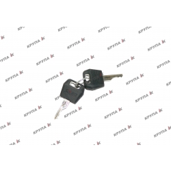 Ключі зажигання  (2шт) 316988A1, A77313, 307852A1