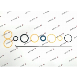 Ремкомплект рульового циліндра 2166 цапфового типу