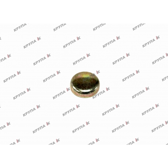 Заглушка блока двигателя 21,0мм.