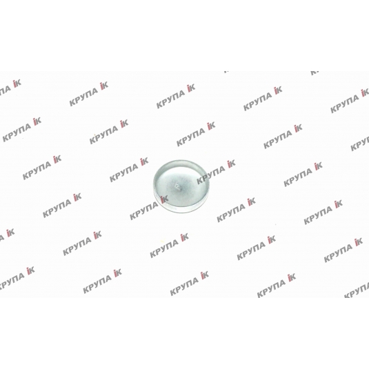 Заглушка блока двигателя 28,9мм.