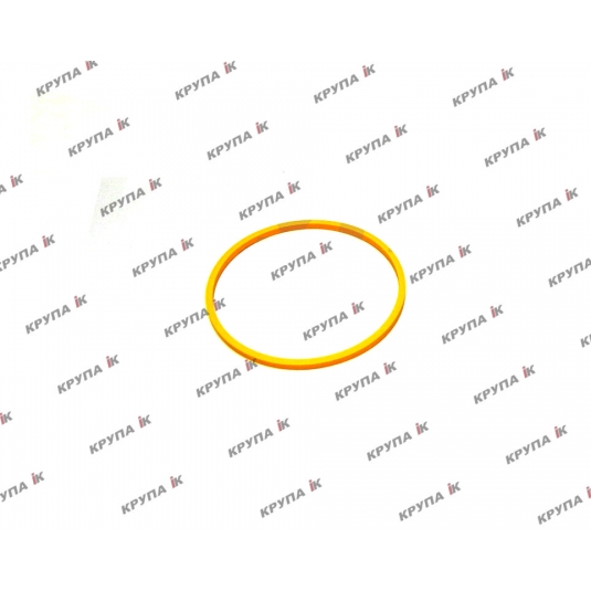 Кільце ущільнююче ВОМ  365229A1