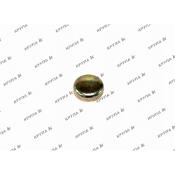 Заглушка блока двигателя 21,0мм.